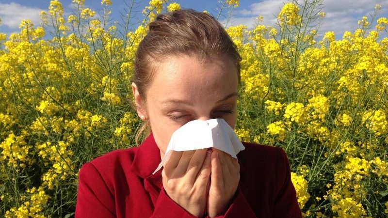 Como posso tratar alergia sazonal na Irlanda